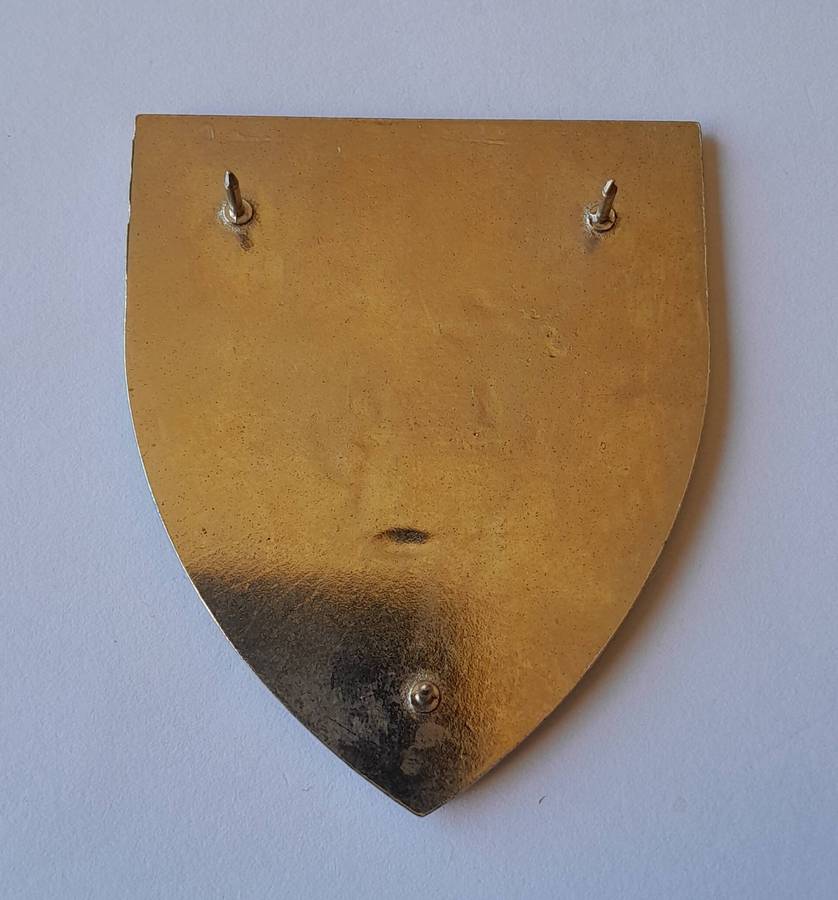 SADF Army College Shoulder Flash.  All Pins Intact.