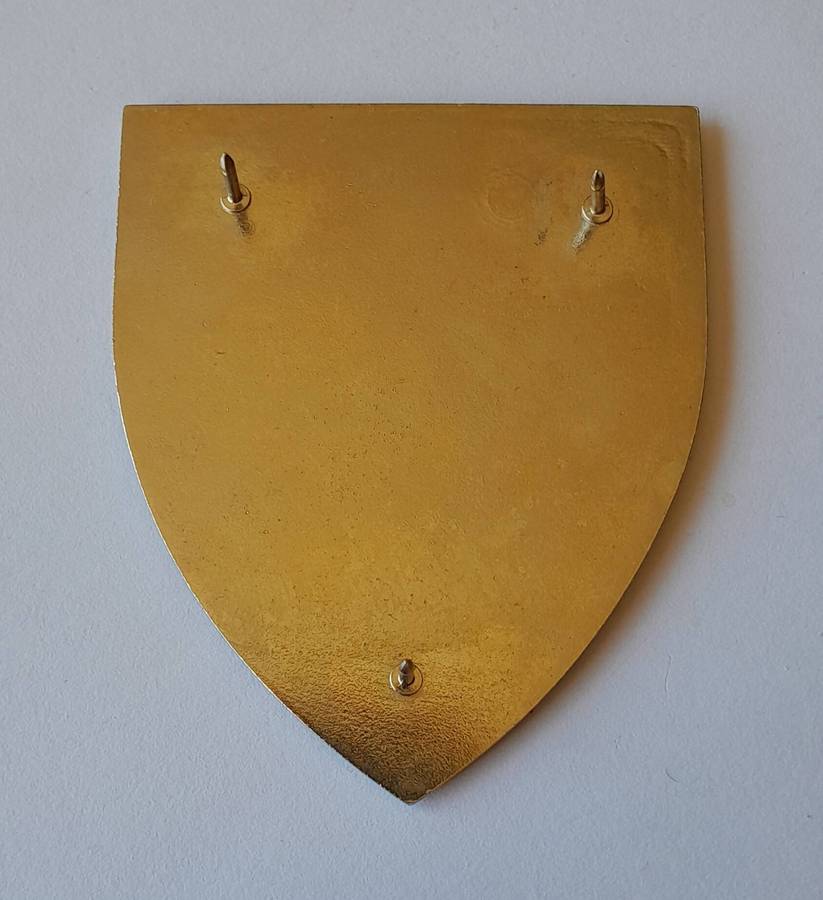 SADF RAU (Rand Afrikaans University) Military Unit Shoulder Flash.  All Pins Intact.