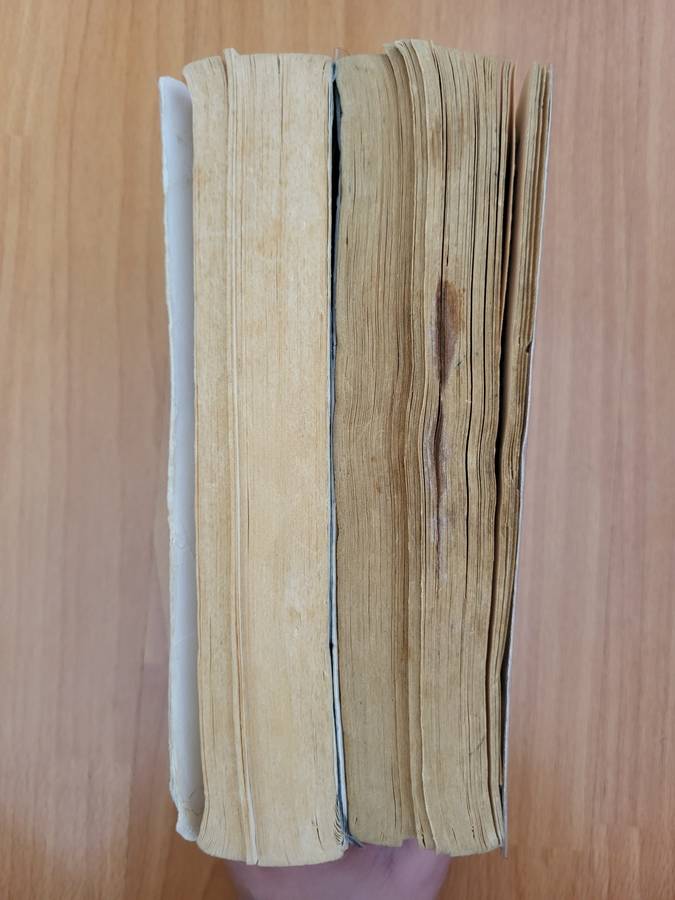 TEEN BOOK LOT | 2 × Spud + Other Books