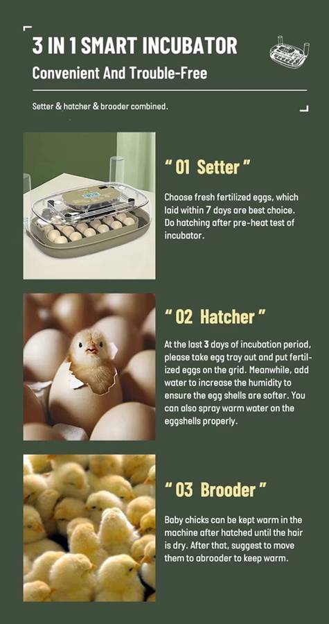 24 Egg Olive Green Wonegg Incubator Automatic