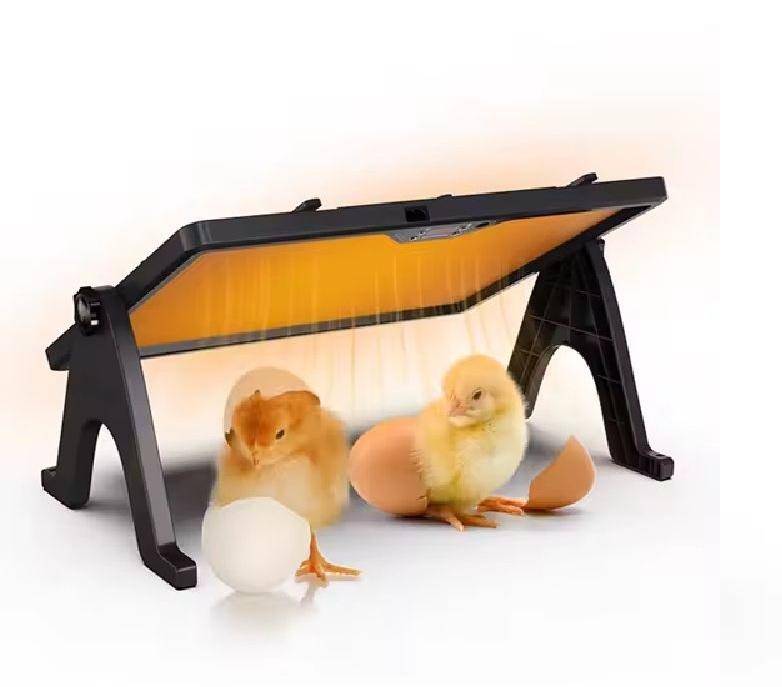 Animal Heater Plate-Double Sided with Remote