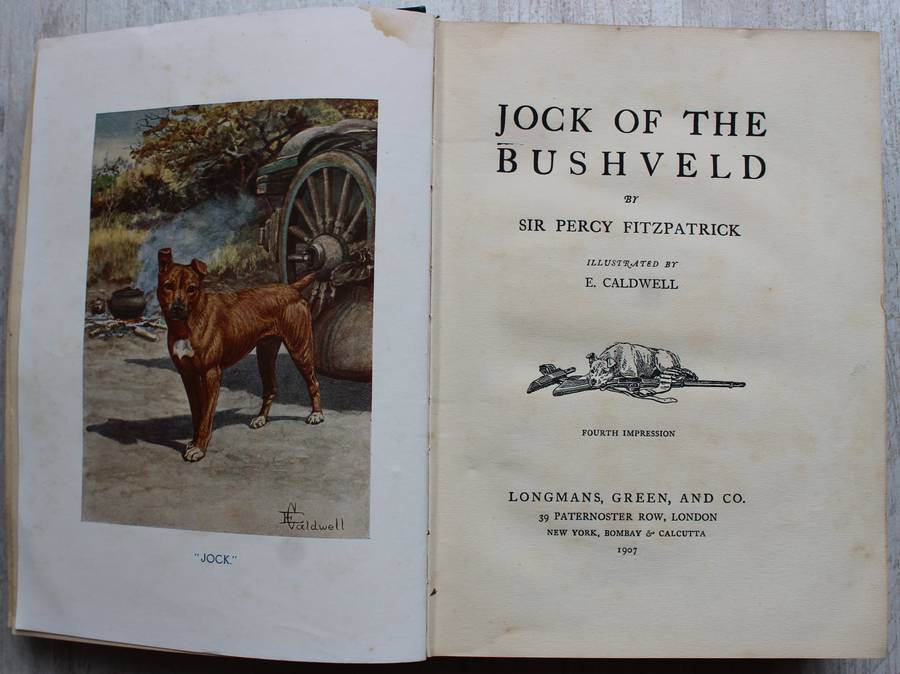 JOCK OF THE BUSHVELD by Percy Fitzpatrick 4th impression (1907) WITH ALL THE INCORRECT DUNG BEETLES