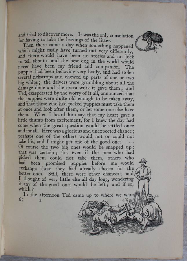 JOCK OF THE BUSHVELD by Percy Fitzpatrick 4th impression (1907) WITH ALL THE INCORRECT DUNG BEETLES