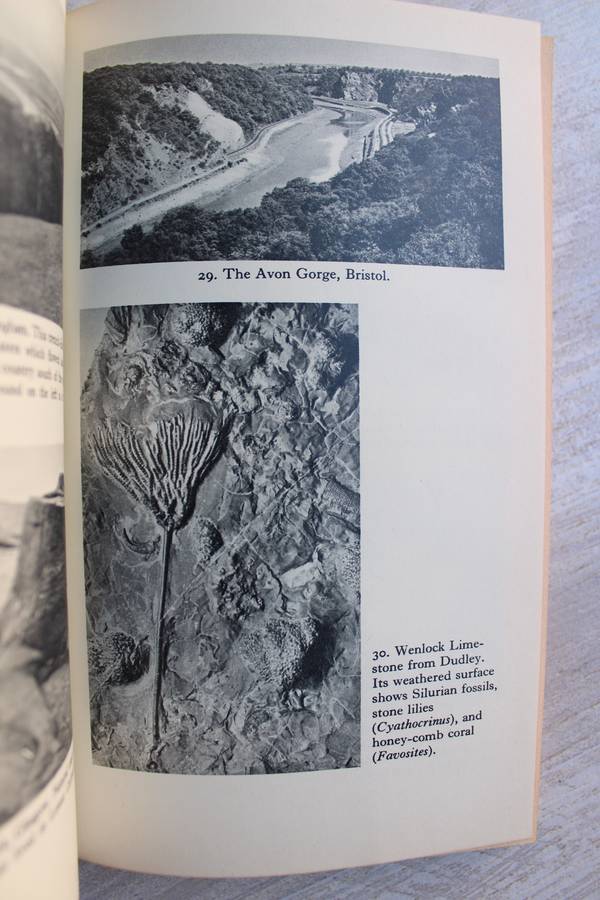 The Earth beneath us - Swinnerton