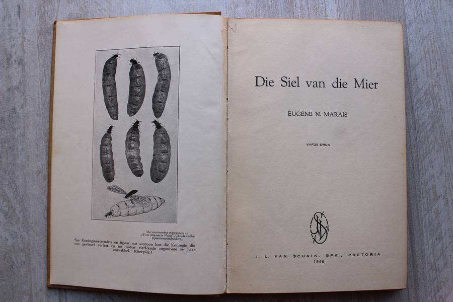 DIE SIEL VAN DIE MIER - Eugene M Marais