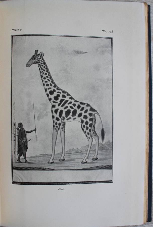Godee Molsbergen (Dr. E. C.) REIZEN IN ZUID-AFRIKA in de Hollandse Tijd