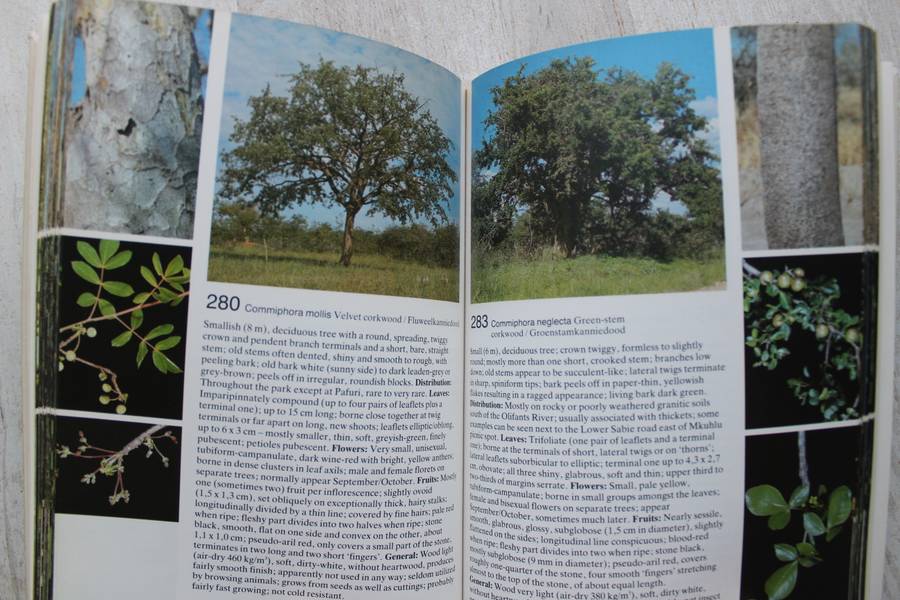 Piet Van Wyk`s Field Guide to the Trees of the Kruger National Park