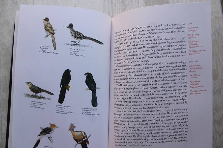 Collins Birds of the World / Beletsky