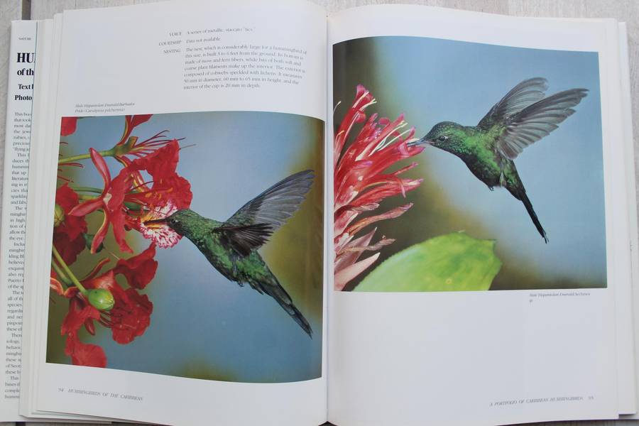 Hummingbirds of the Caribbean / Tyrrell