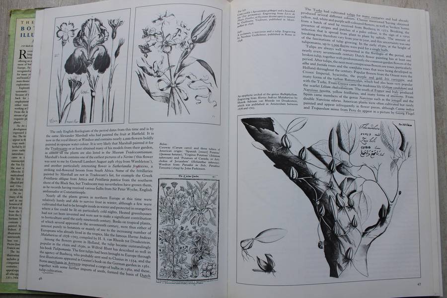 The Art of Botanical Illustration - Martyn Rix