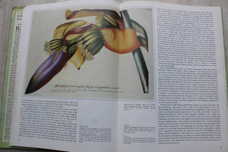 The Art of Botanical Illustration - Martyn Rix