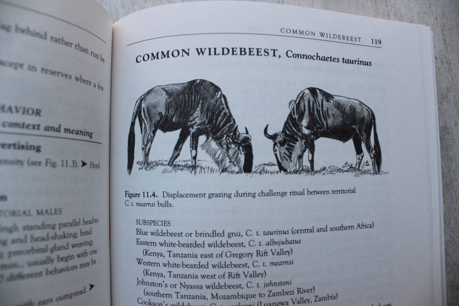 The Safari Companion: A Guide to Watching African Mammals - Richard Estes