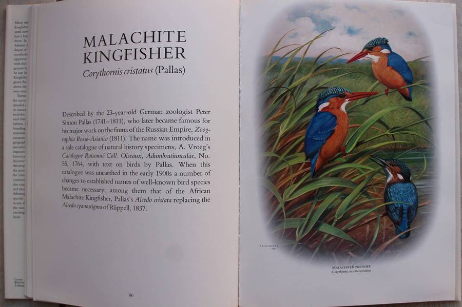 Kingfishers of Sub-Saharan Africa / Philip Clancy