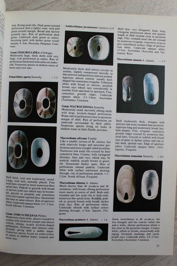The Collectors Encyclopedia of Shells / Peter Dance