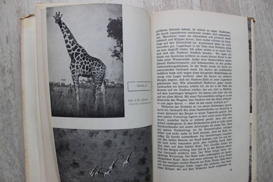 Tiere im Veld / Gaerdes