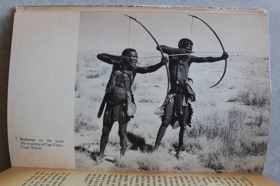 Lost City of the Kalahari - Fay Goldie