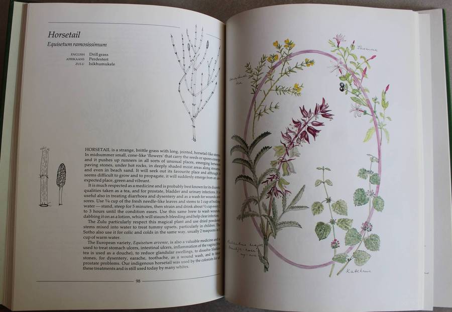 Indigenous Healing Plants - Roberts, Margaret