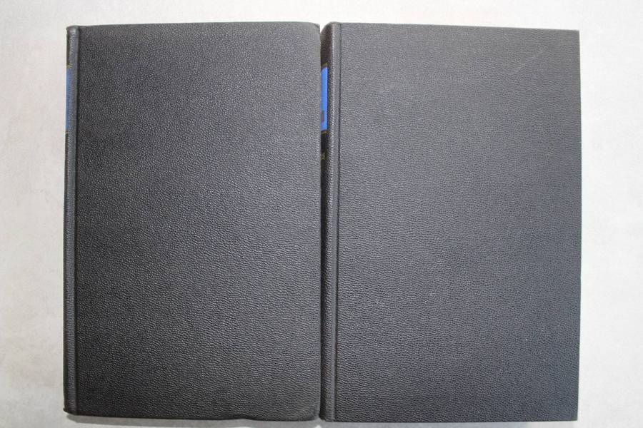 Biblical Commentary on The Old Testament / 2 volumes - The Pophecies of Ezekiel