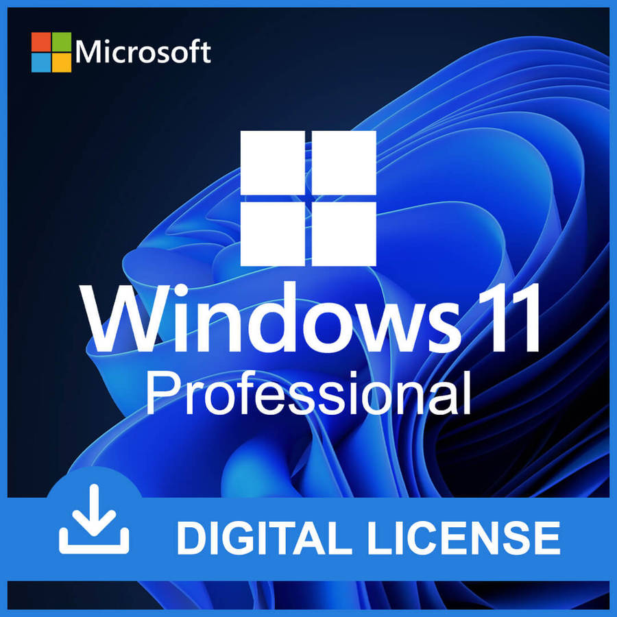 Windows 11 Professional + WinImage Pro