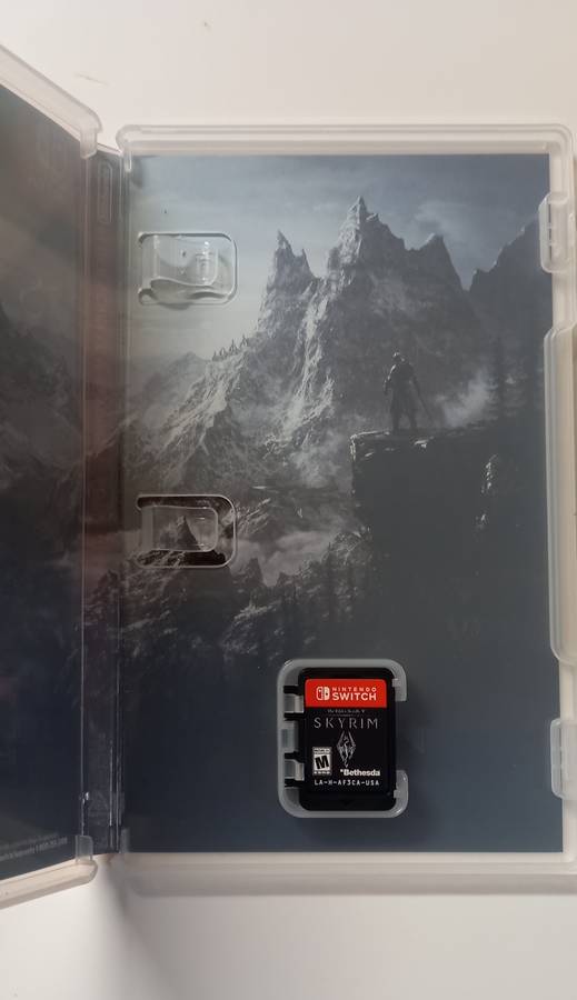 Nintendo switch Skyrim game
