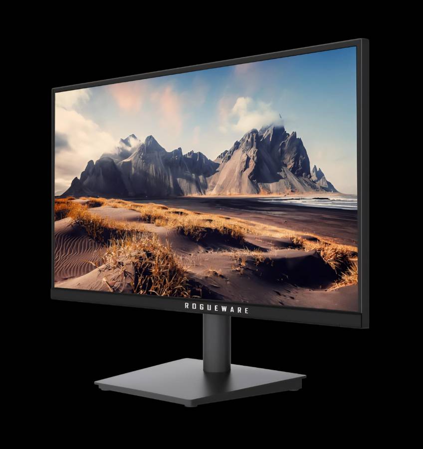 Rogueware W2213SG (RW-W2213SG) monitor