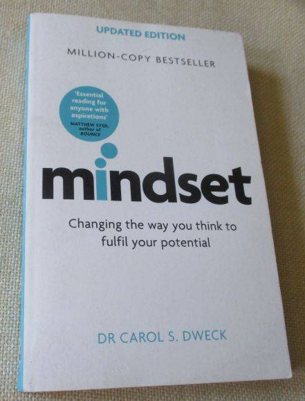 MINDSET - CHANGING THE WAY YOU THINK TO FULFIL YOUR POTENTIAL - DR CAROL S DWECK