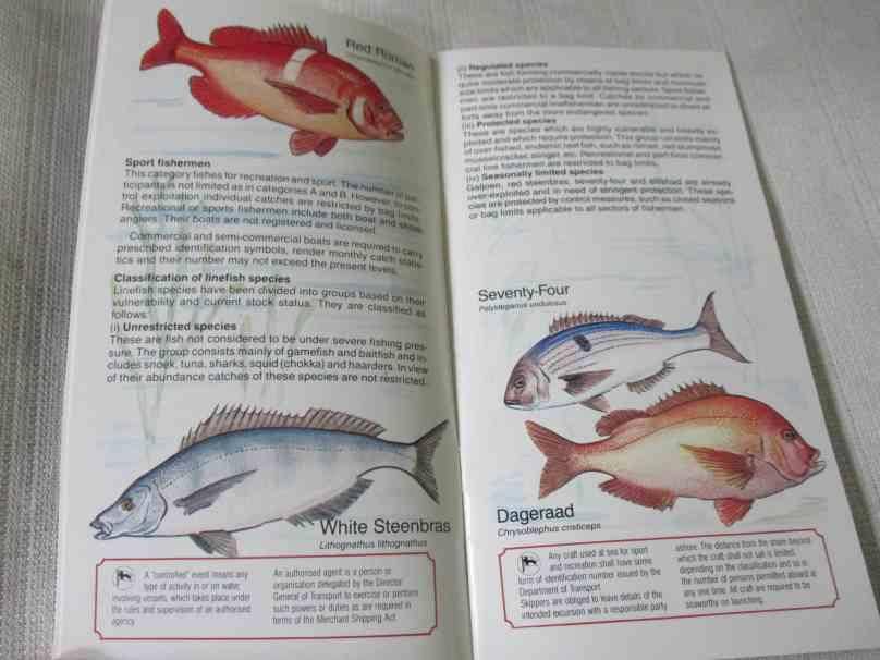SAFMARINE GUIDE TO THE PROTECTION OF SOUTH AFRICA'S MARINE LIFE ( 80's )