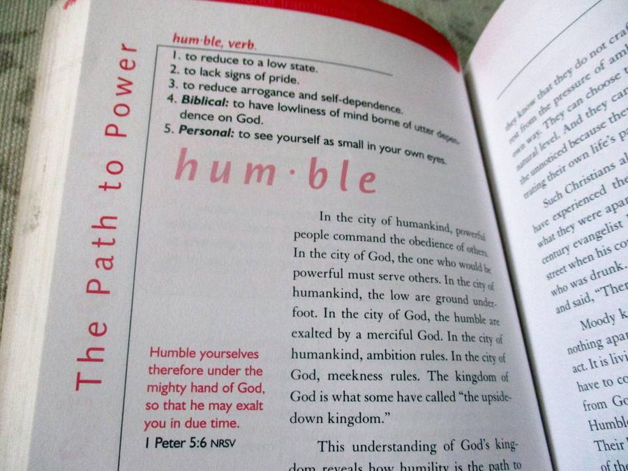 WORDS TO LIVE BY - REFLECTIONS &  INSIGHTS ON THE MOST LIFE-CHANGING & THOUGHT-PROVOKING WORDS IN TH