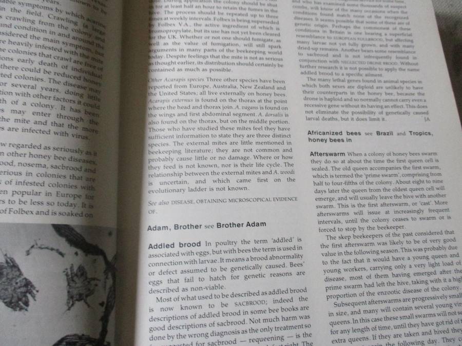 THE ILLUSTRATED ENCYCLOPEDIA OF BEEKEEPING - ROGER MORSE AND TED HOOPER