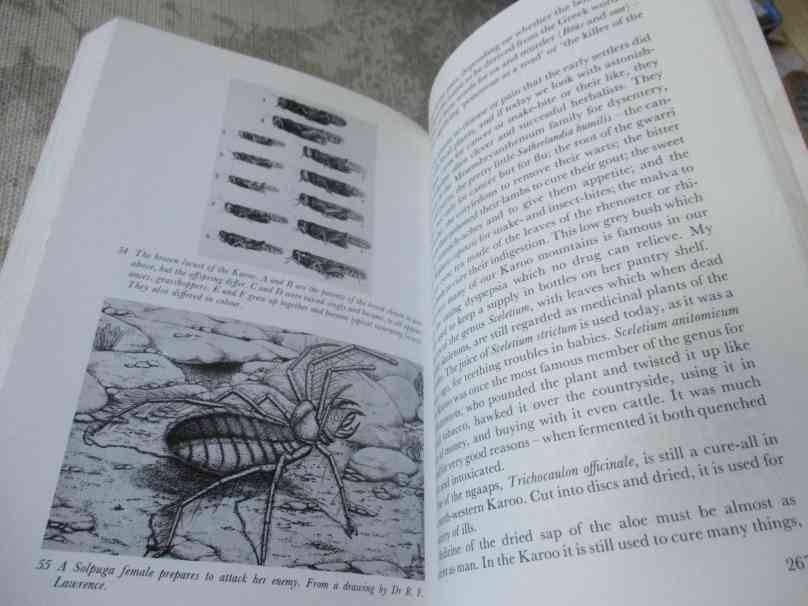 THE PLAINS OF CAMDEBOO - EVE PALMER - THE CLASSIC BOOK OF THE KAROO -REVISED EDITION