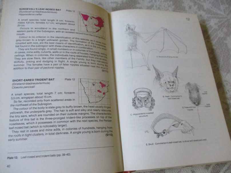 THE MAMMALS OF SOUTHERN AFRICA - A FIELD GUIDE - REAY H N SMITHERS