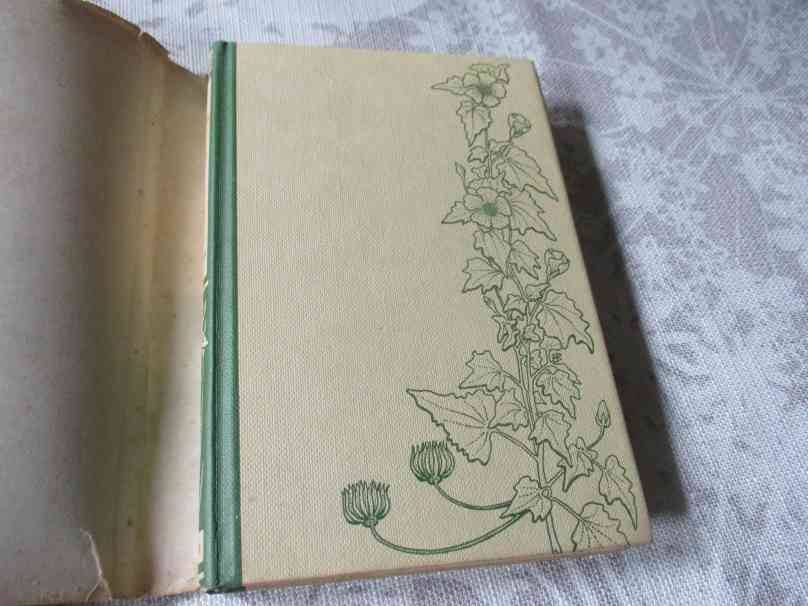 THE WILD FLOWERS OF SOUTHERN AFRICA - NATAL - A RAMBLER'S POCKET GUIDE - Dr WINIFRED G WRIGHT
