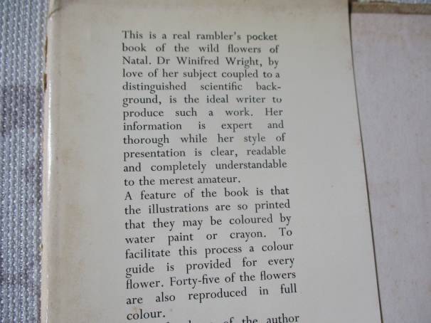 THE WILD FLOWERS OF SOUTHERN AFRICA - NATAL - A RAMBLER'S POCKET GUIDE - Dr WINIFRED G WRIGHT