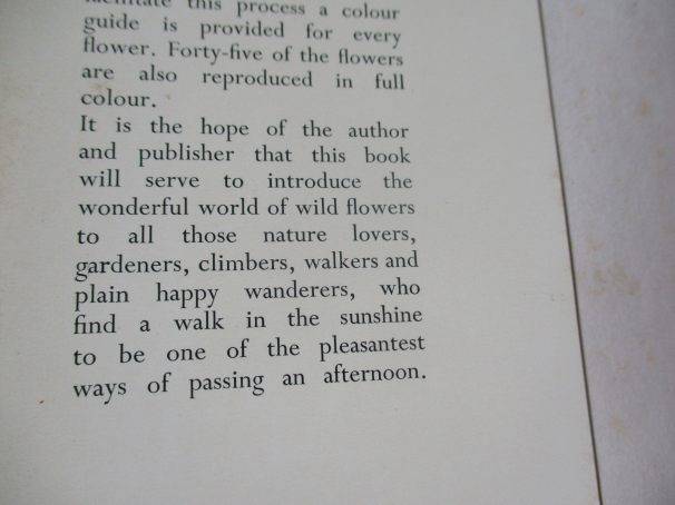 THE WILD FLOWERS OF SOUTHERN AFRICA - NATAL - A RAMBLER'S POCKET GUIDE - Dr WINIFRED G WRIGHT