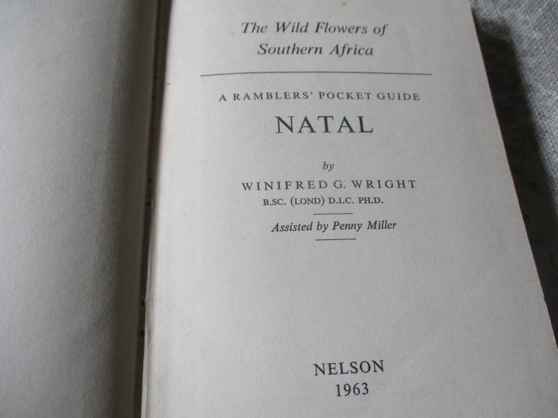 THE WILD FLOWERS OF SOUTHERN AFRICA - NATAL - A RAMBLER'S POCKET GUIDE - Dr WINIFRED G WRIGHT