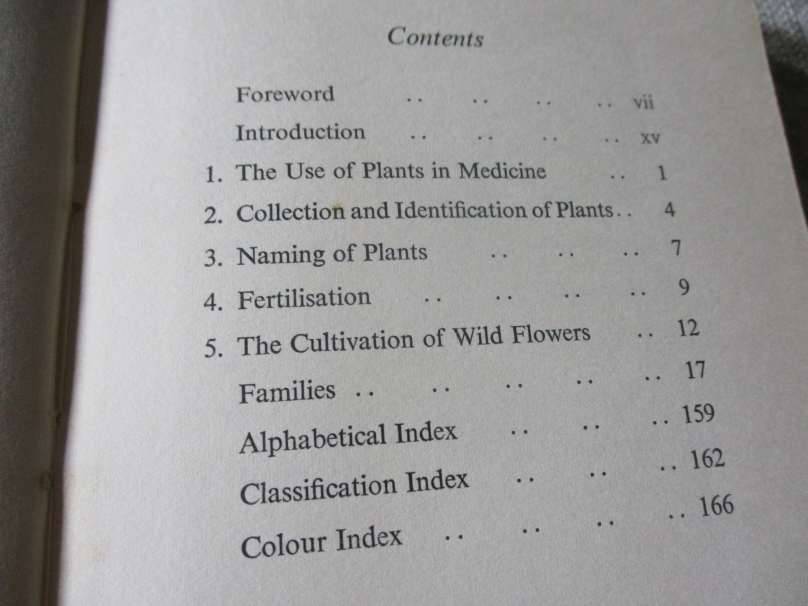 THE WILD FLOWERS OF SOUTHERN AFRICA - NATAL - A RAMBLER'S POCKET GUIDE - Dr WINIFRED G WRIGHT