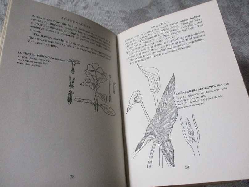 THE WILD FLOWERS OF SOUTHERN AFRICA - NATAL - A RAMBLER'S POCKET GUIDE - Dr WINIFRED G WRIGHT