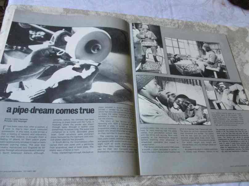 S.A. PANORAMA MAGAZINE OCTOBER 1980 ( paul rose - artist )