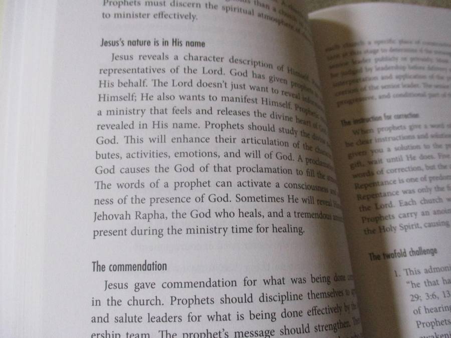 THE PROPHETIC ADVANTAGE - BE GOD'S MOUTHPIECE. TRANSFORM YOUR WORLD - MICHELLE McCLAIN