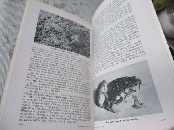 AFRICAN WILD LIFE JUNE 1960 NO 3