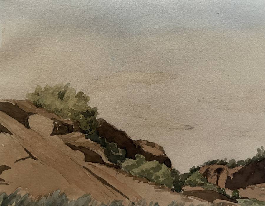 "KAROO RIVER STREAM" - ORIGINAL P WHITWORTH WATER COLOUR PAINTING IN GOLD FRAME