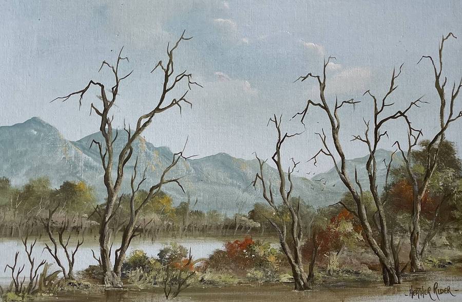 ORIGINAL WELL KNOWN SA ARTIST - HEATHER RIDER - OIL ON CANVAS ON BOARD IN GOLD FRAME