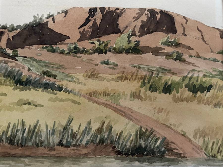 "KAROO RIVER STREAM" - ORIGINAL P WHITWORTH WATER COLOUR PAINTING IN GOLD FRAME