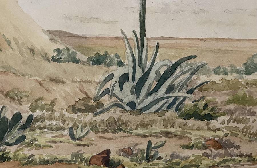 ORIGINAL P. WHITWORTH - WATER COLOUR PAINTING IN GOLD FRAME - KAROO WILDERNESS