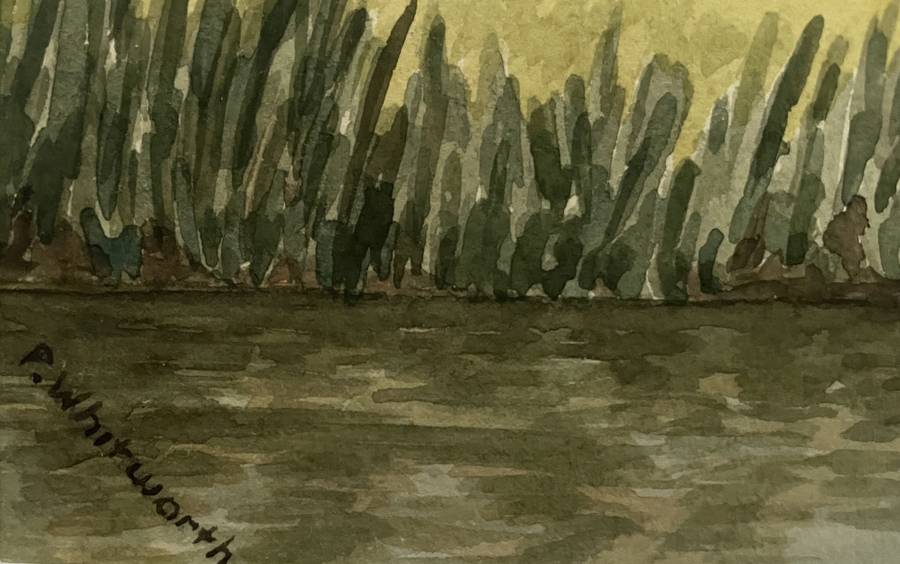 "KAROO RIVER STREAM" - ORIGINAL P WHITWORTH WATER COLOUR PAINTING IN GOLD FRAME