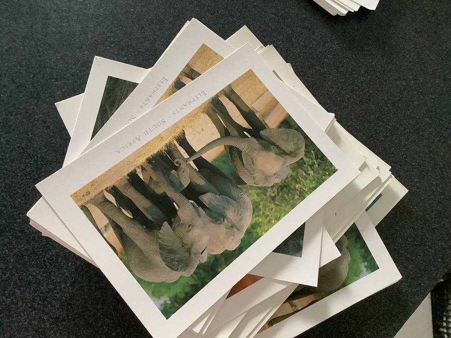 Bundle of unused post cards