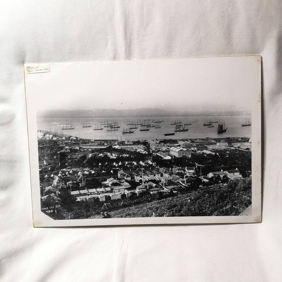 Historical Vintage 1800s Image "Cape Town Harbour from Signal Hill"
