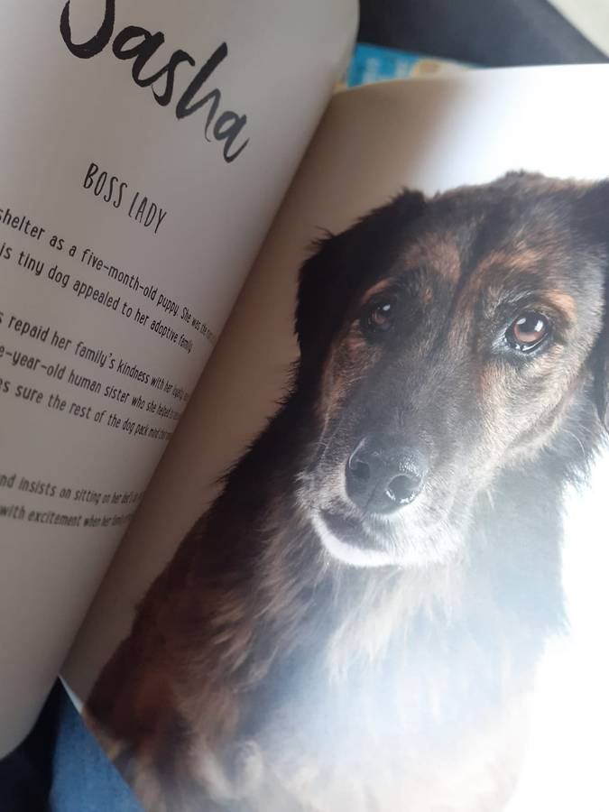 Mutts ~ Emma O'Brien