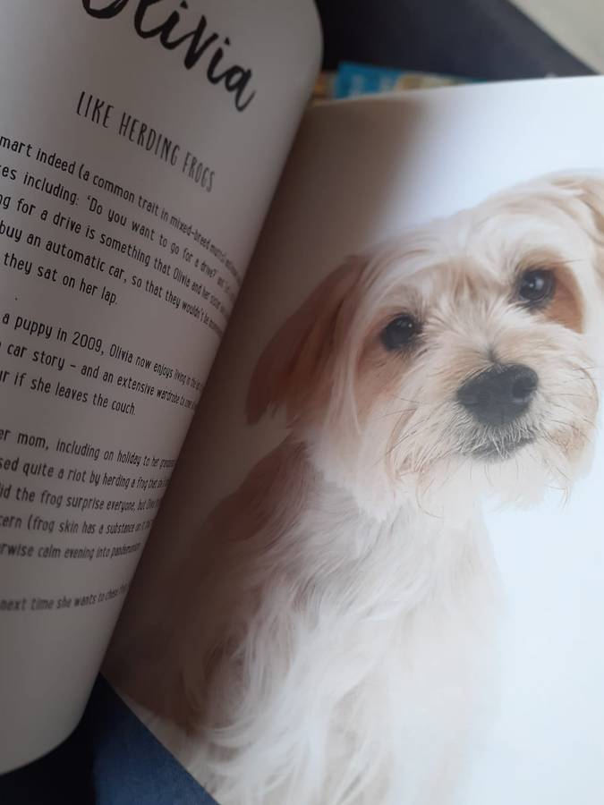 Mutts ~ Emma O'Brien