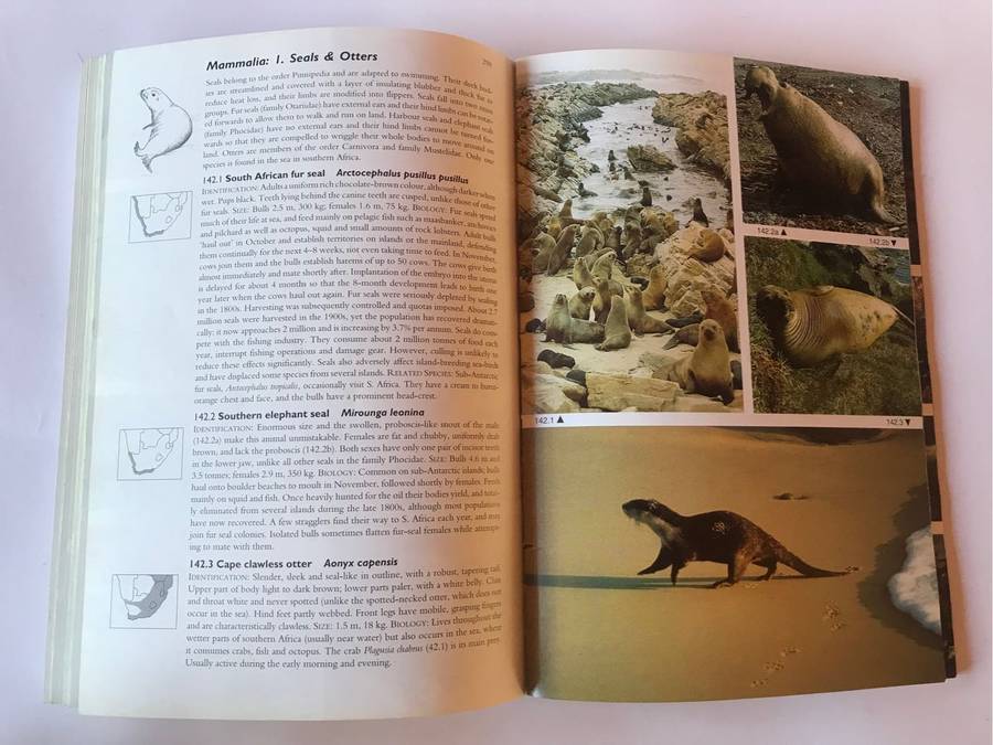 Two Oceans: A Guide to the Marine Life of Southern Africa by George Branch